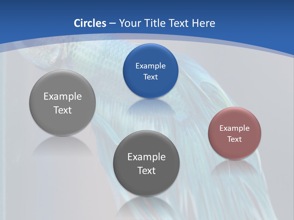 Dive Isolated Siam PowerPoint Template