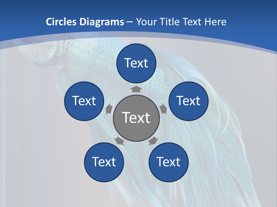 Dive Isolated Siam PowerPoint Template