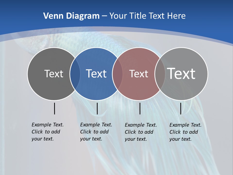 Dive Isolated Siam PowerPoint Template