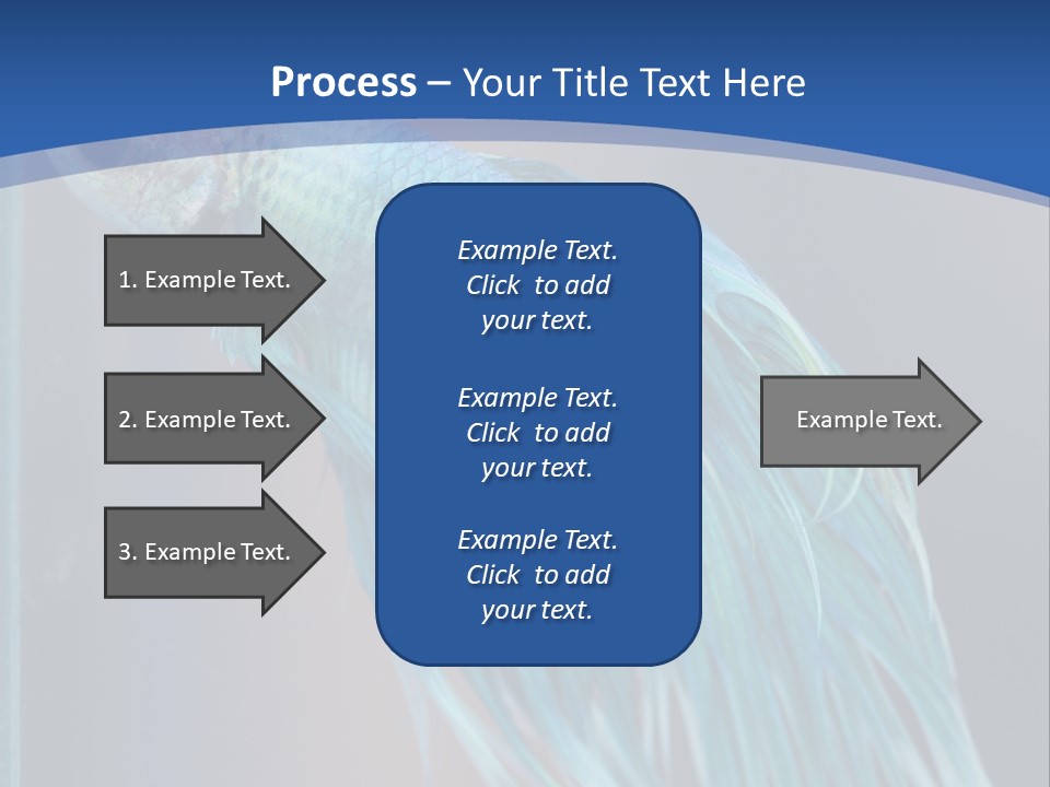 Dive Isolated Siam PowerPoint Template