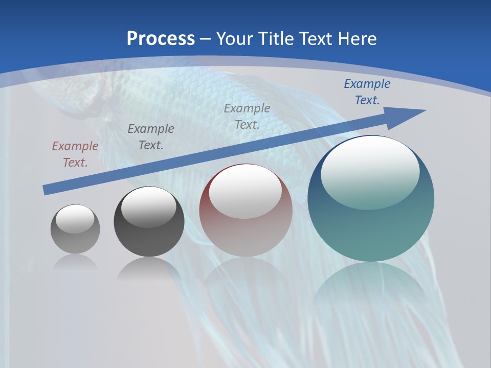 Dive Isolated Siam PowerPoint Template