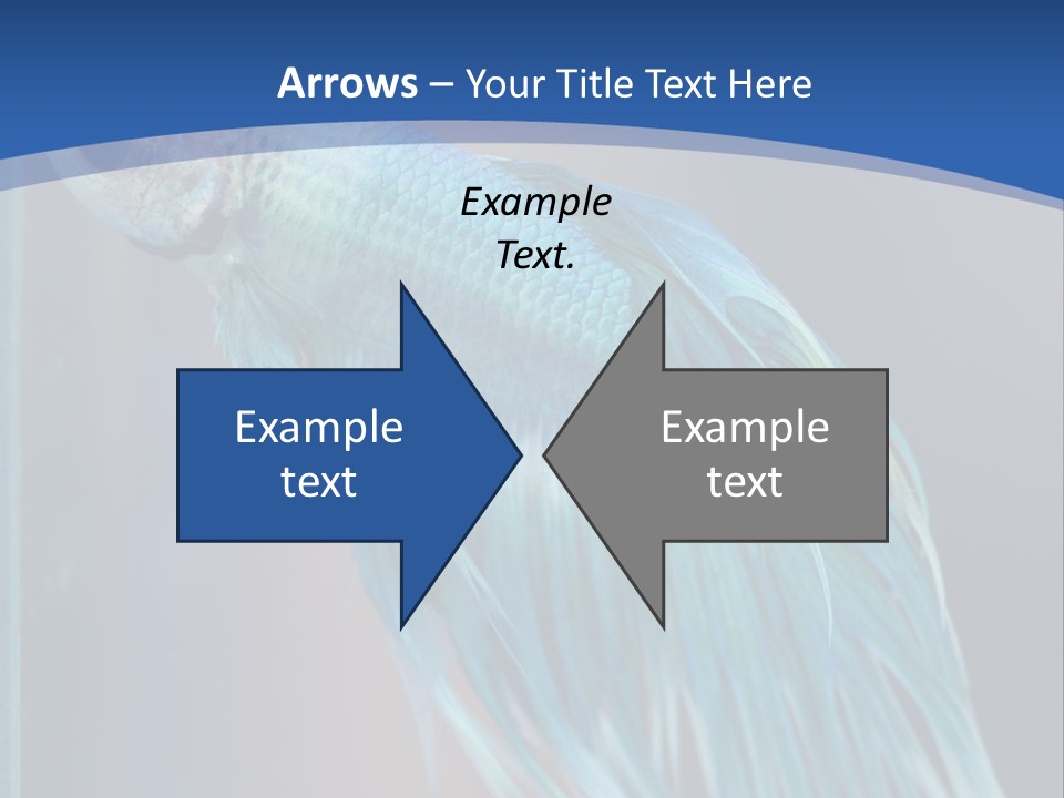Dive Isolated Siam PowerPoint Template