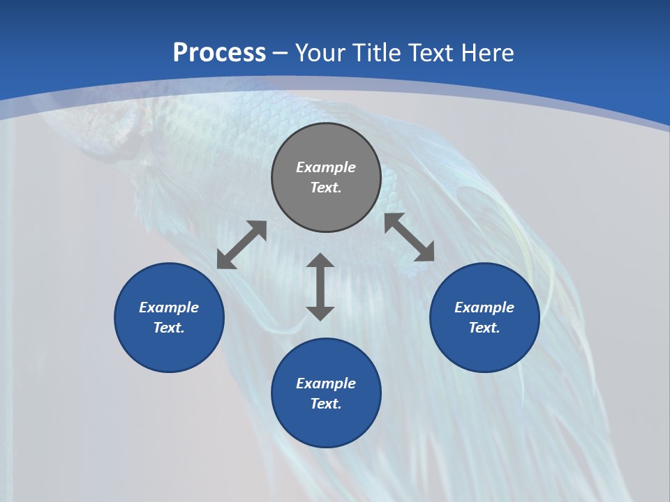 Dive Isolated Siam PowerPoint Template