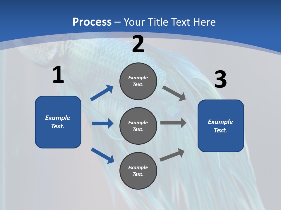 Dive Isolated Siam PowerPoint Template