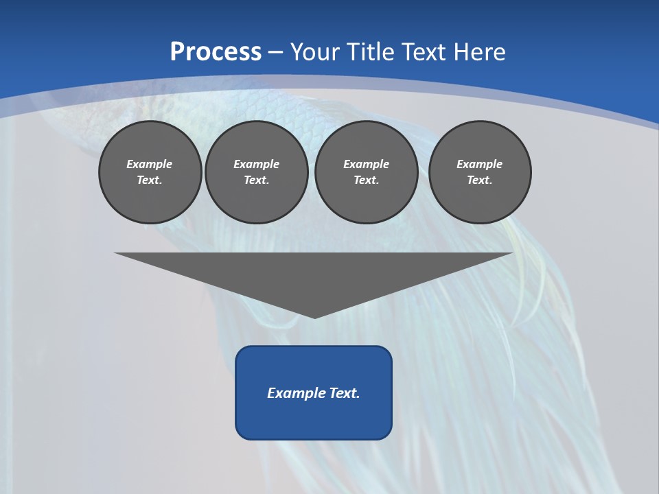 Dive Isolated Siam PowerPoint Template