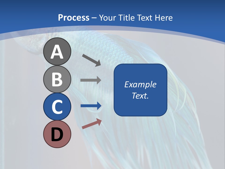 Dive Isolated Siam PowerPoint Template