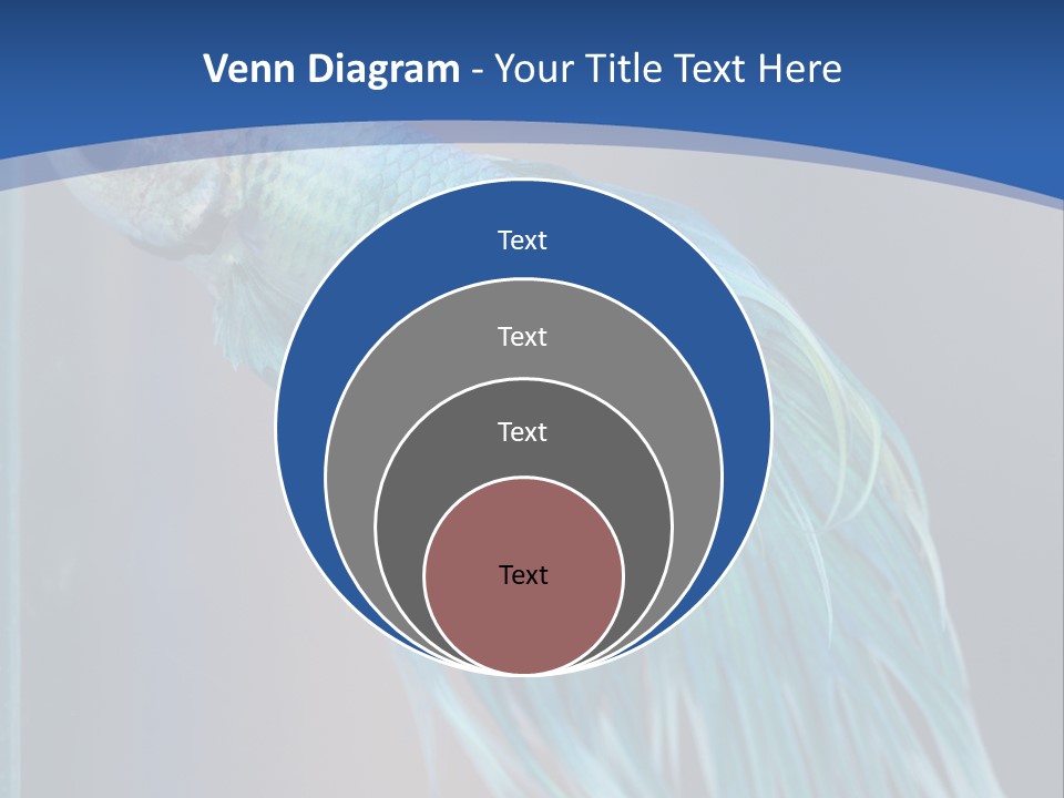 Dive Isolated Siam PowerPoint Template