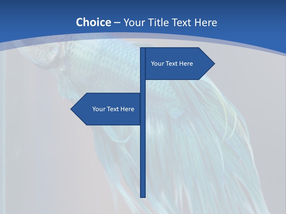 Dive Isolated Siam PowerPoint Template