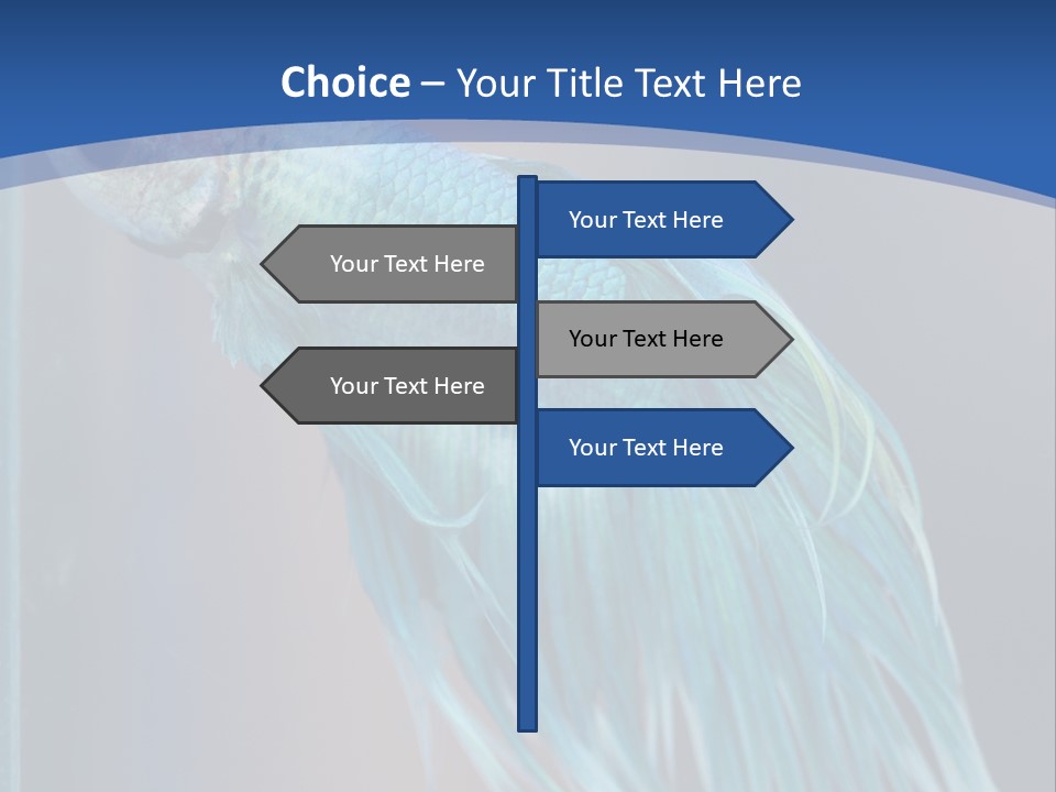 Dive Isolated Siam PowerPoint Template