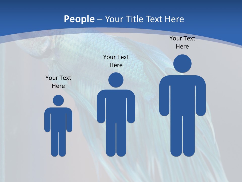 Dive Isolated Siam PowerPoint Template