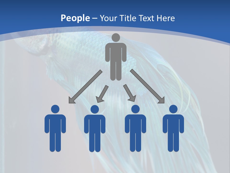 Dive Isolated Siam PowerPoint Template