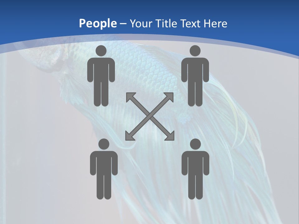 Dive Isolated Siam PowerPoint Template