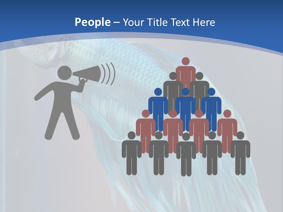 Dive Isolated Siam PowerPoint Template