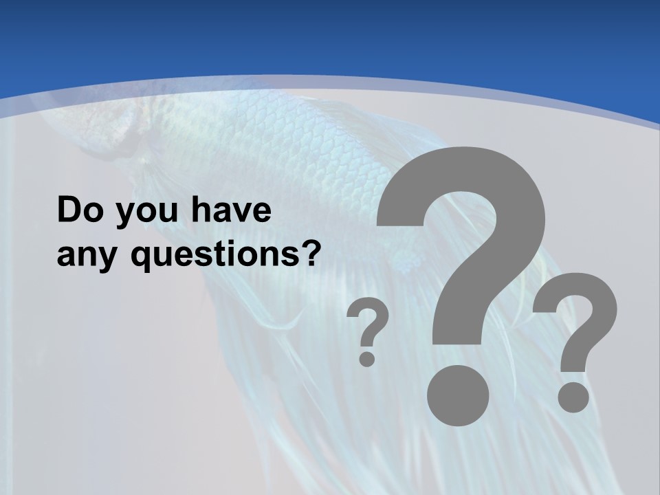 Dive Isolated Siam PowerPoint Template