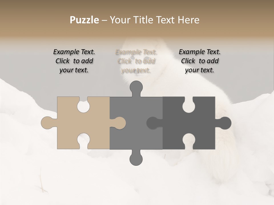 Zoology Beast Animal PowerPoint Template