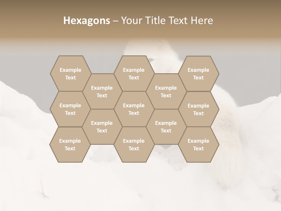 Zoology Beast Animal PowerPoint Template