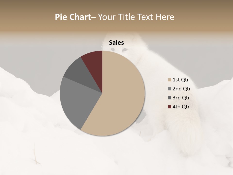 Zoology Beast Animal PowerPoint Template