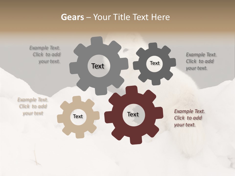 Zoology Beast Animal PowerPoint Template