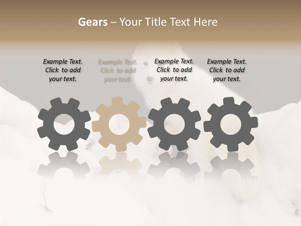 Zoology Beast Animal PowerPoint Template