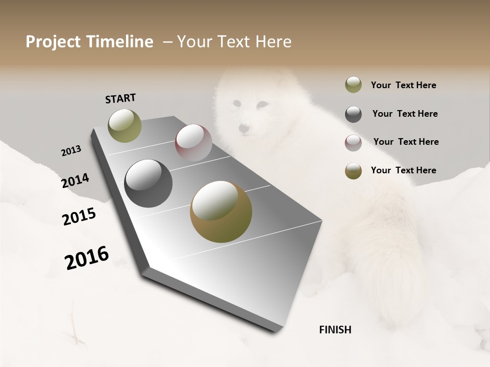 Zoology Beast Animal PowerPoint Template