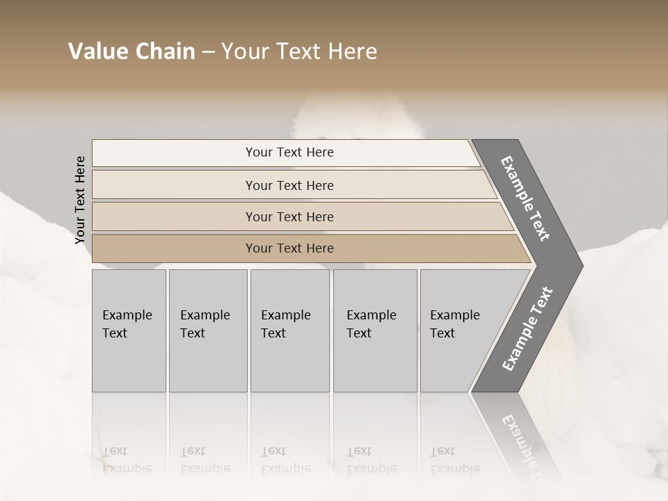 Zoology Beast Animal PowerPoint Template