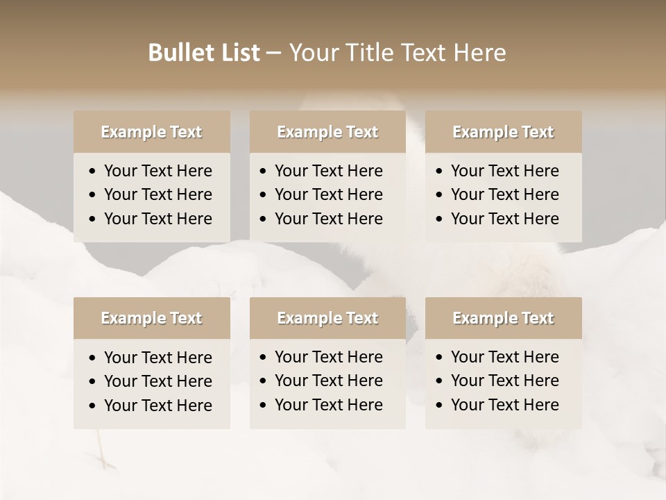 Zoology Beast Animal PowerPoint Template