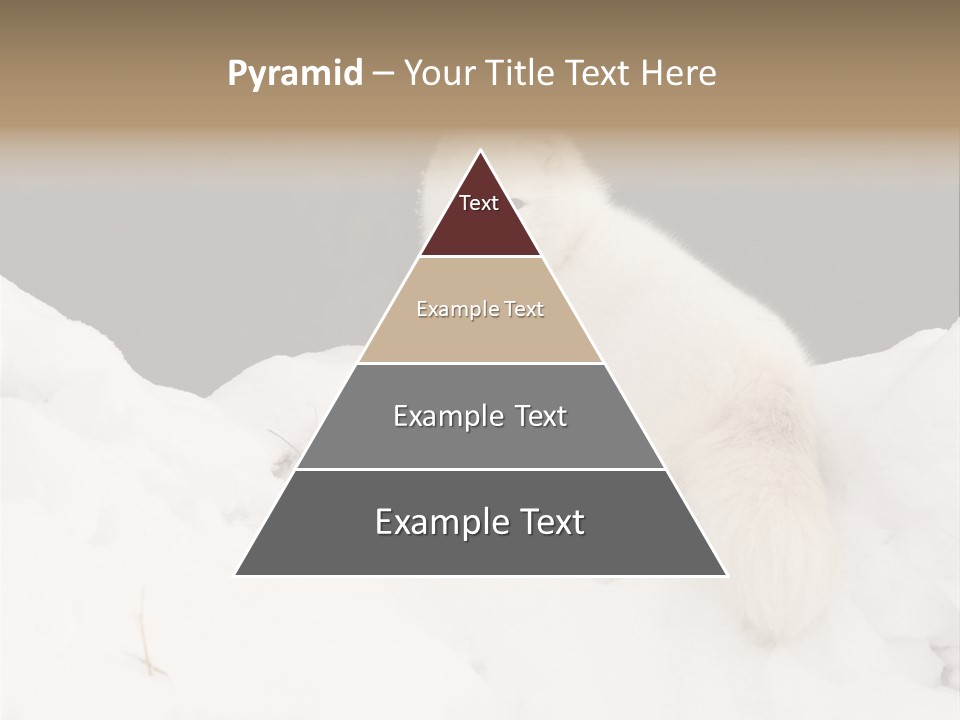 Zoology Beast Animal PowerPoint Template