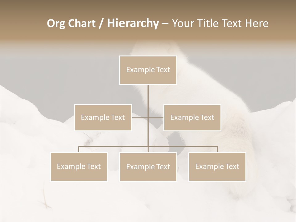 Zoology Beast Animal PowerPoint Template