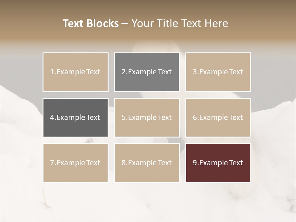 Zoology Beast Animal PowerPoint Template