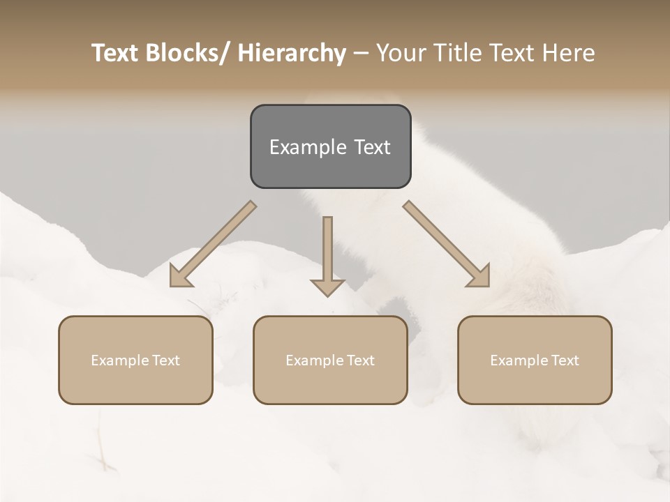 Zoology Beast Animal PowerPoint Template