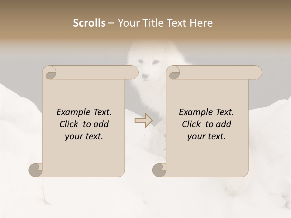 Zoology Beast Animal PowerPoint Template