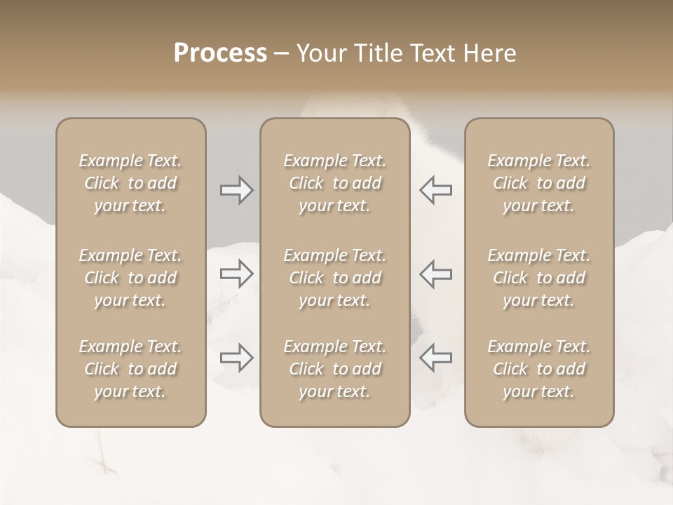Zoology Beast Animal PowerPoint Template