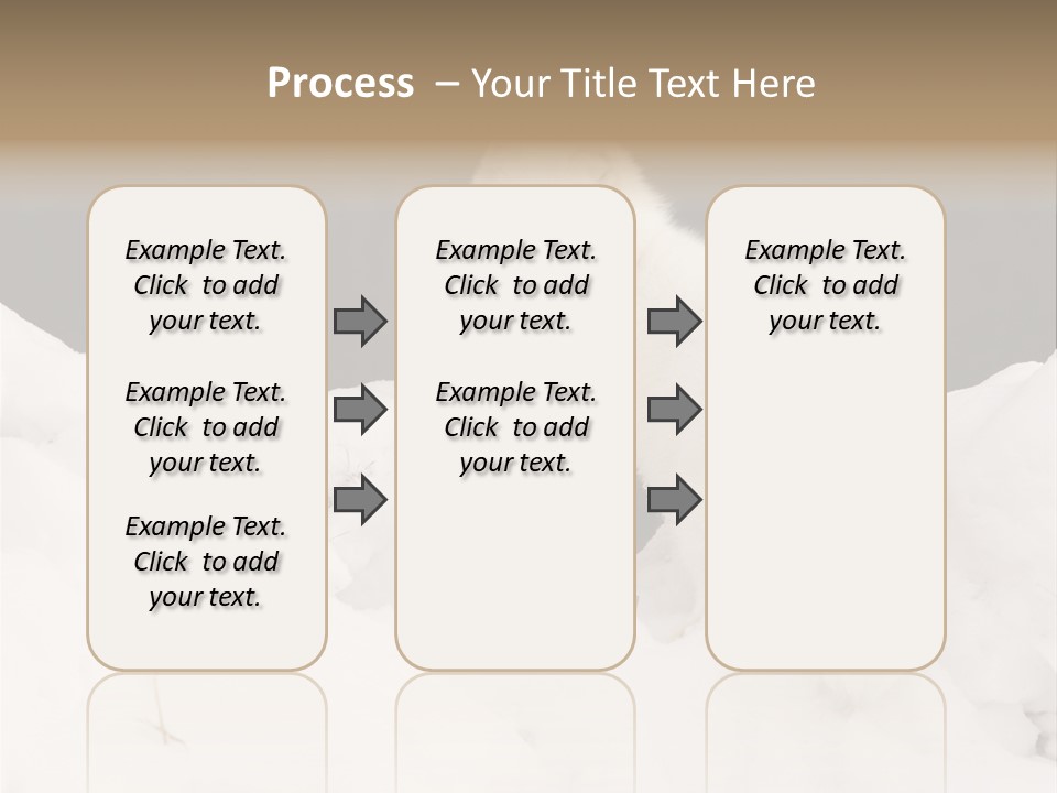 Zoology Beast Animal PowerPoint Template