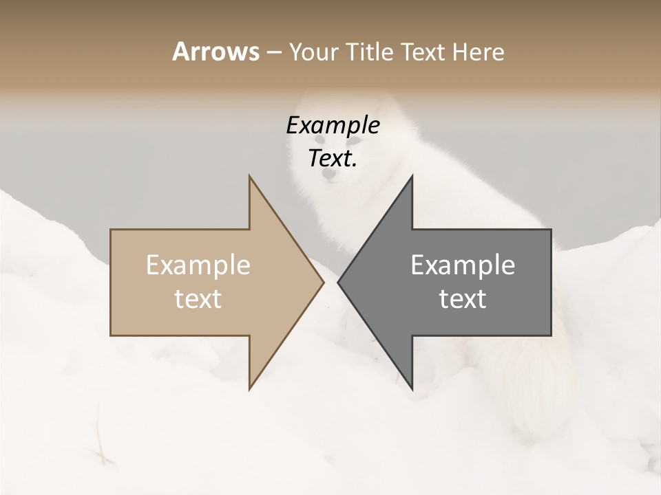 Zoology Beast Animal PowerPoint Template