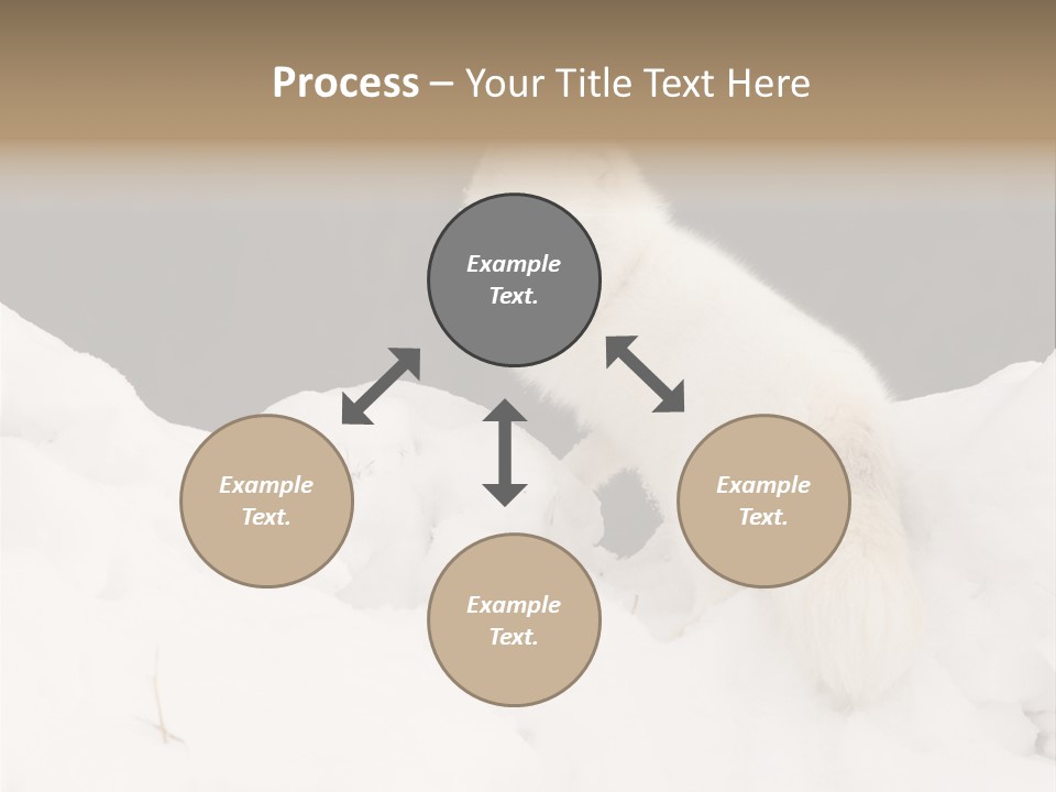 Zoology Beast Animal PowerPoint Template