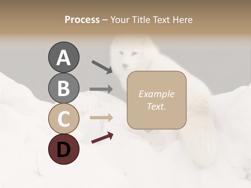 Zoology Beast Animal PowerPoint Template