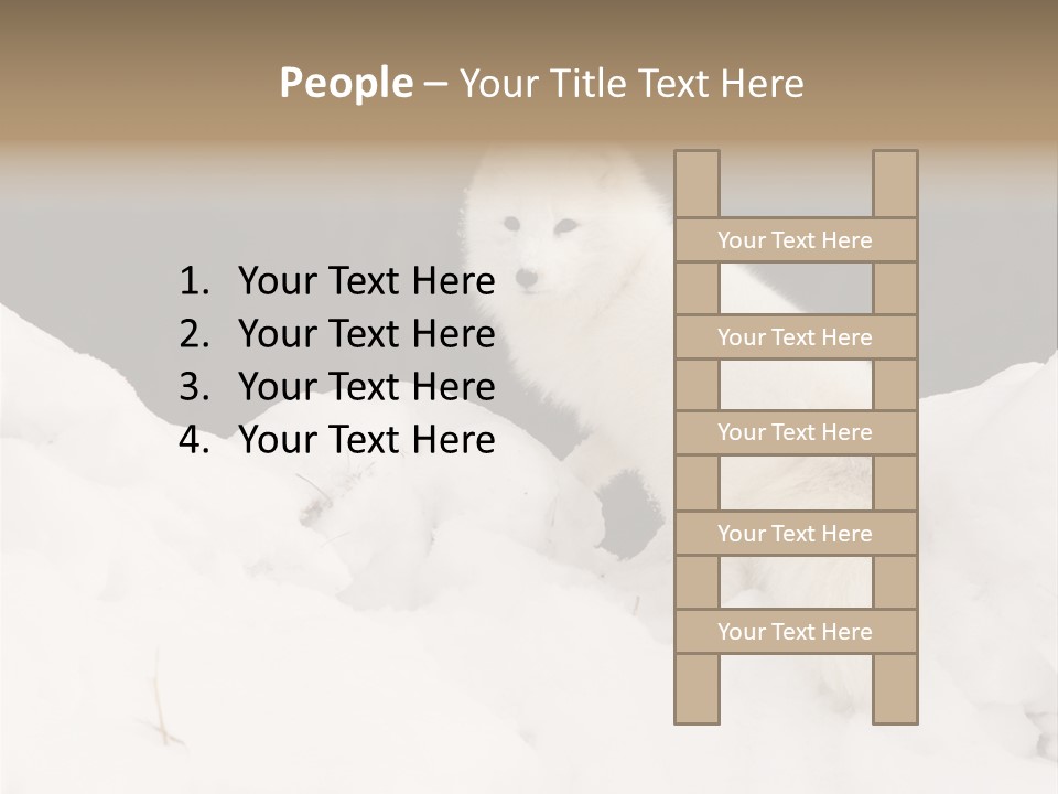 Zoology Beast Animal PowerPoint Template