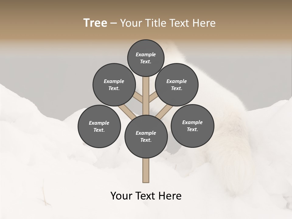 Zoology Beast Animal PowerPoint Template