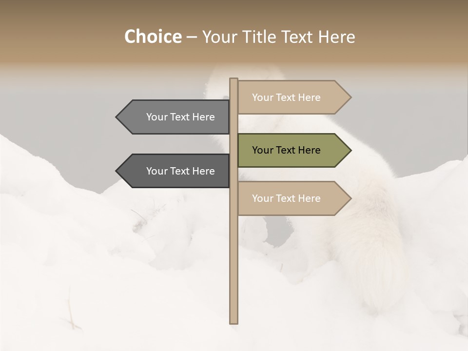 Zoology Beast Animal PowerPoint Template