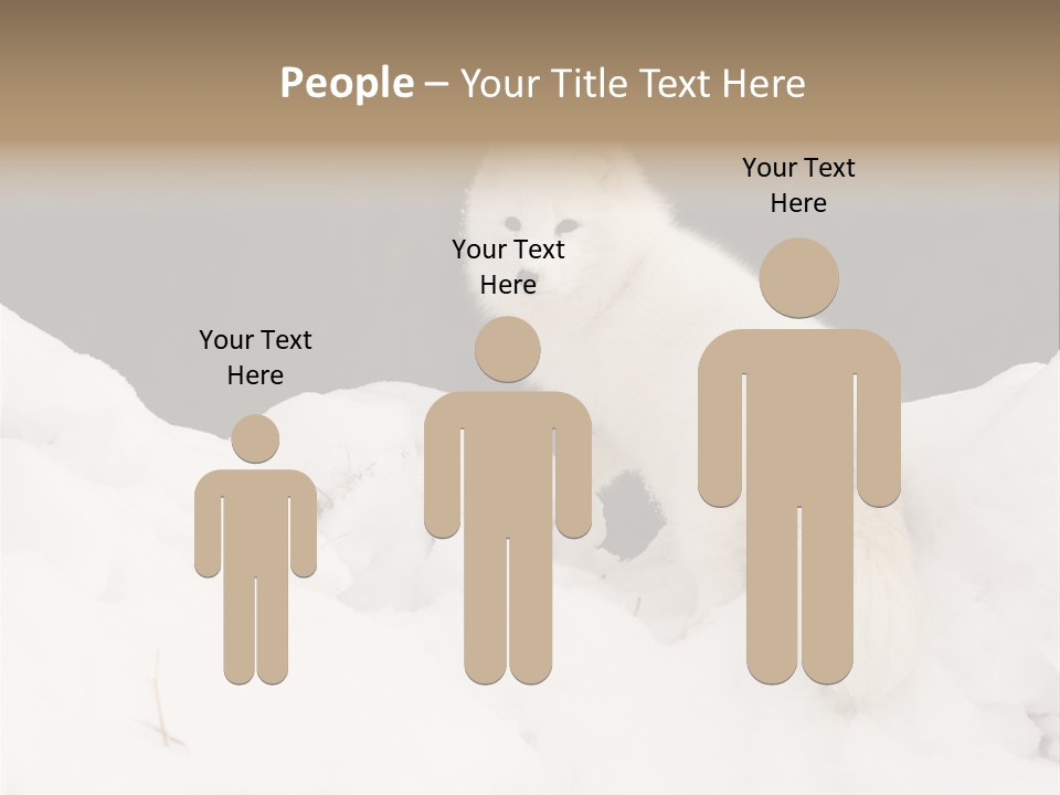 Zoology Beast Animal PowerPoint Template