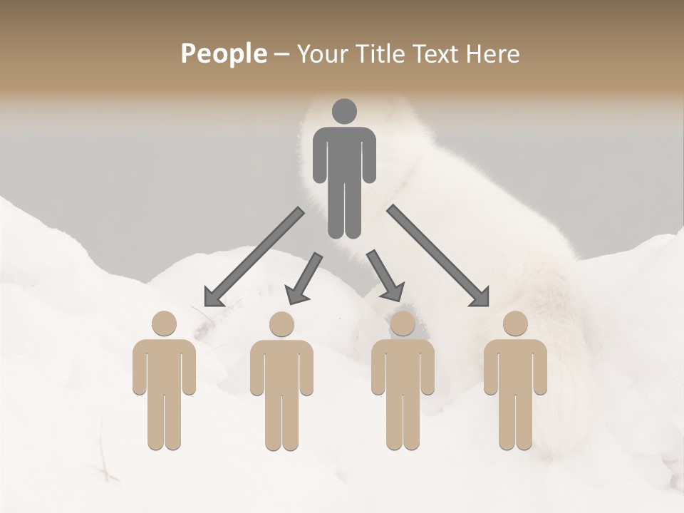 Zoology Beast Animal PowerPoint Template