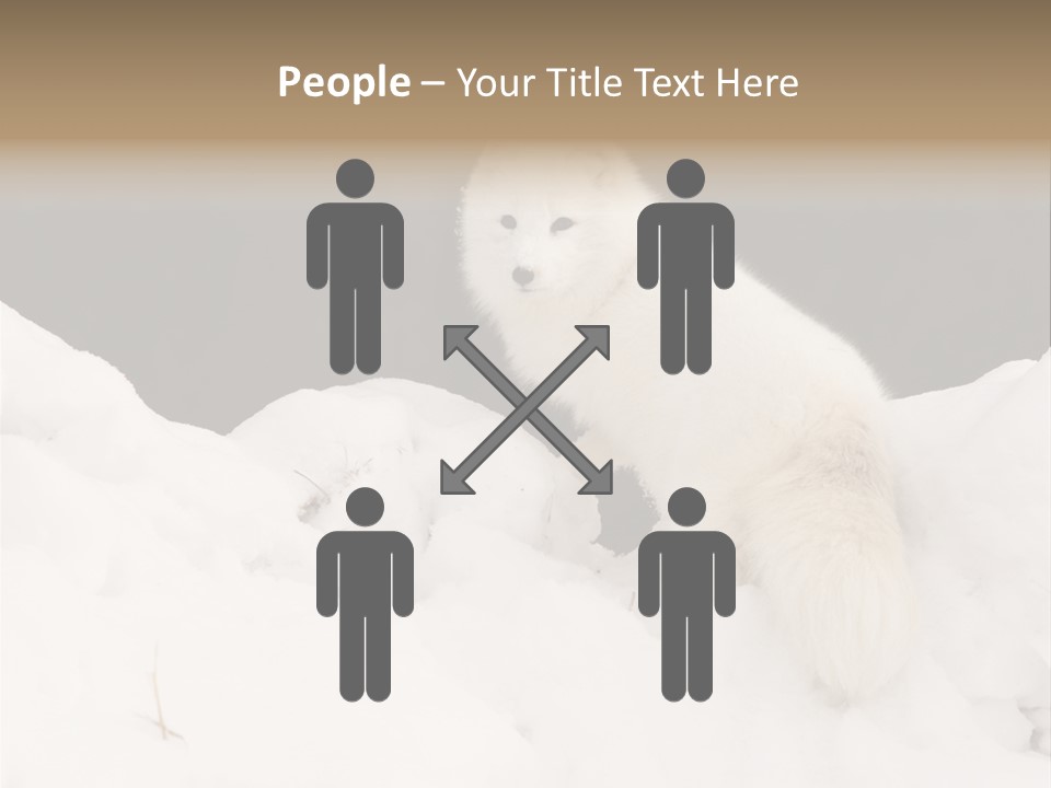 Zoology Beast Animal PowerPoint Template