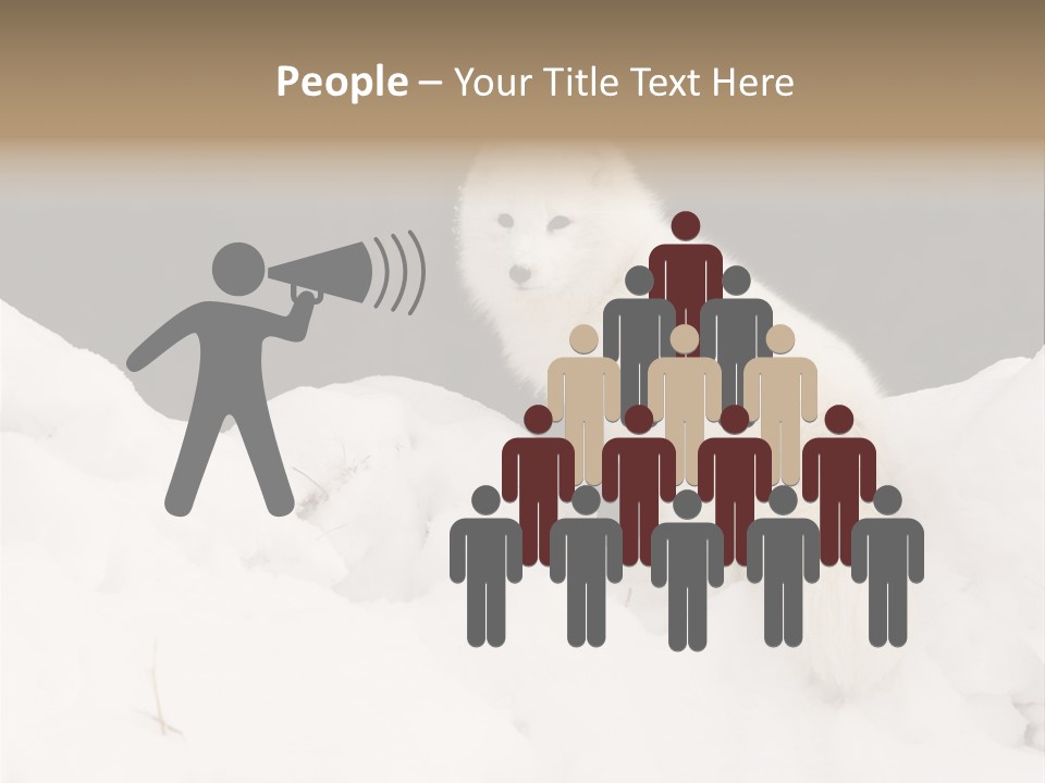 Zoology Beast Animal PowerPoint Template