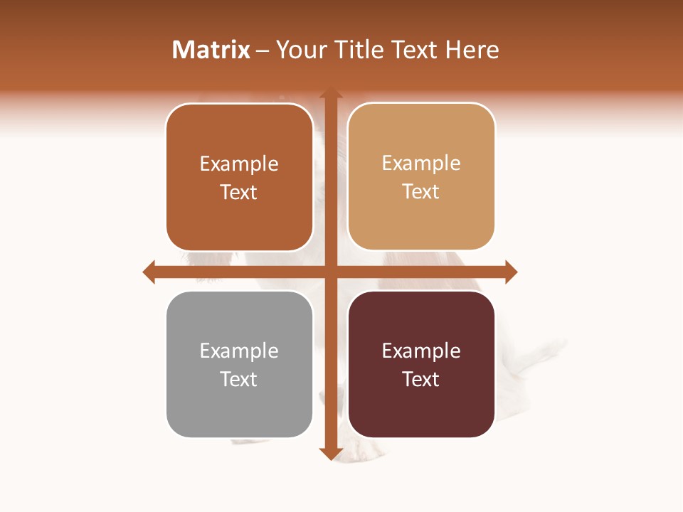 White Cavalier Dog PowerPoint Template