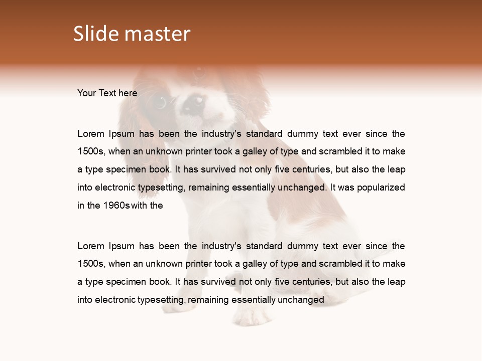 White Cavalier Dog PowerPoint Template