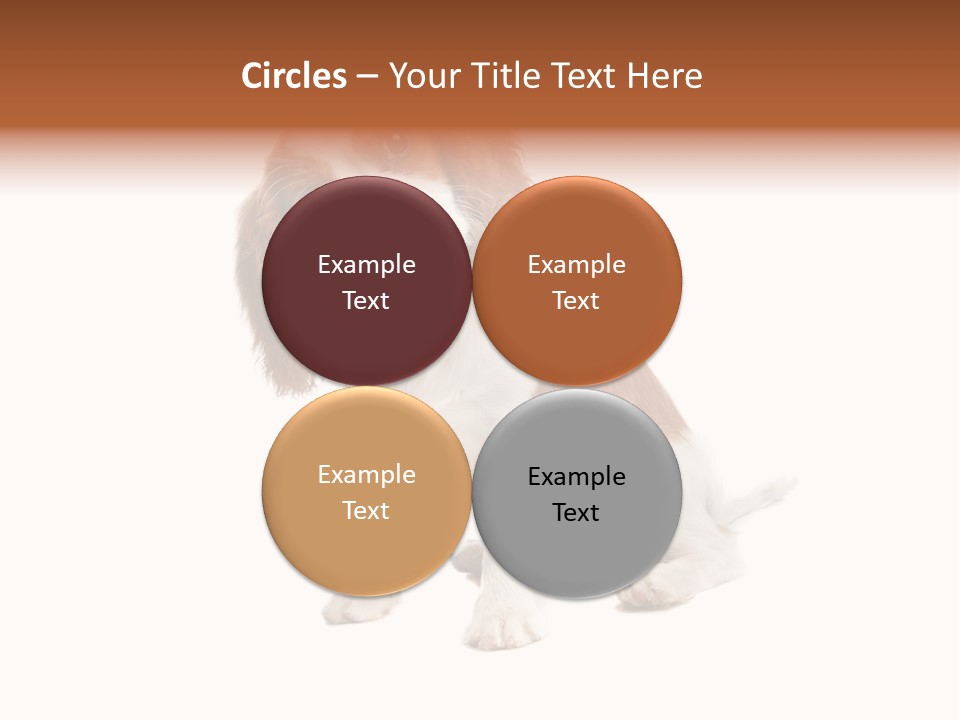 White Cavalier Dog PowerPoint Template