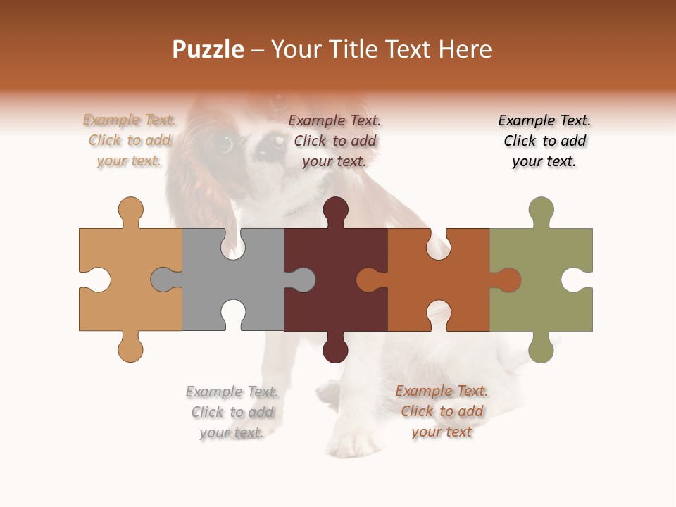 White Cavalier Dog PowerPoint Template