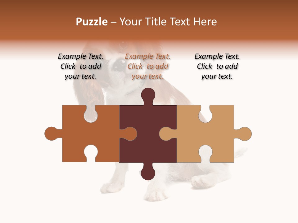 White Cavalier Dog PowerPoint Template
