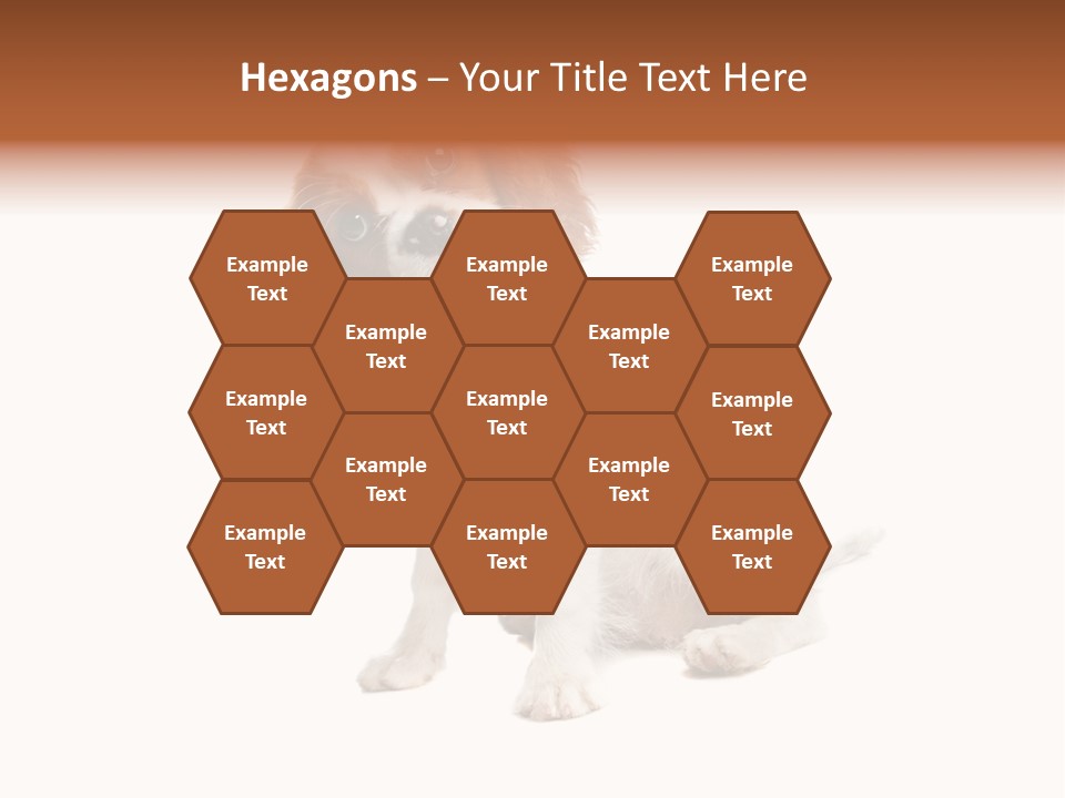 White Cavalier Dog PowerPoint Template