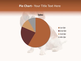 White Cavalier Dog PowerPoint Template